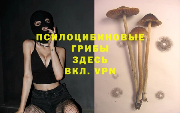 мяу мяу кристалл Алексин
