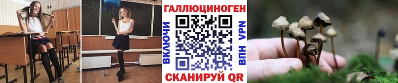 Галлюциногенные грибы Psilocybine cubensis  Иркутск 